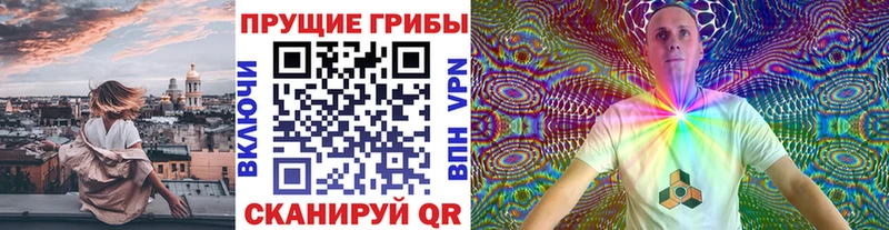 закладки Кирс Галлюциногенные грибы Cubensis